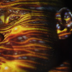 韩国色情极品福利视频
